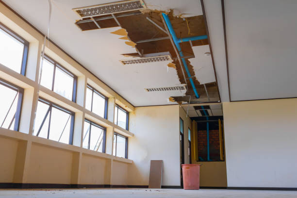 Best Residential water damage restoration  in Loretto, TN