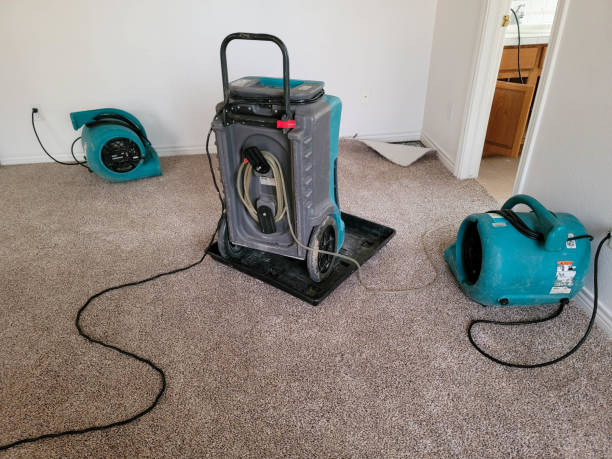 Local water damage restoration in TN