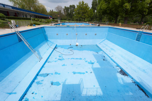 Best Water damage restoration services  in Loretto, TN