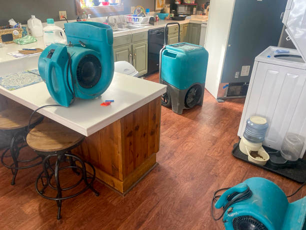 Best Sewage cleanup and water damage restoration  in Loretto, TN