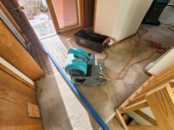 Best Flooded house restoration  in Loretto, TN