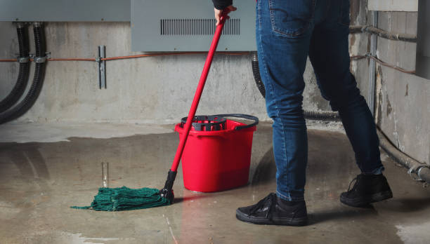 Best Emergency water extraction  in Loretto, TN