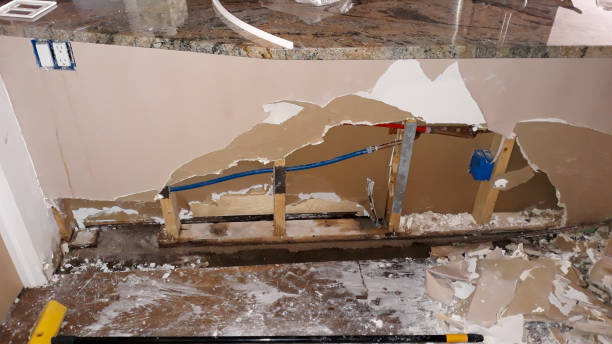 Best Water damage cleanup near me  in Loretto, TN