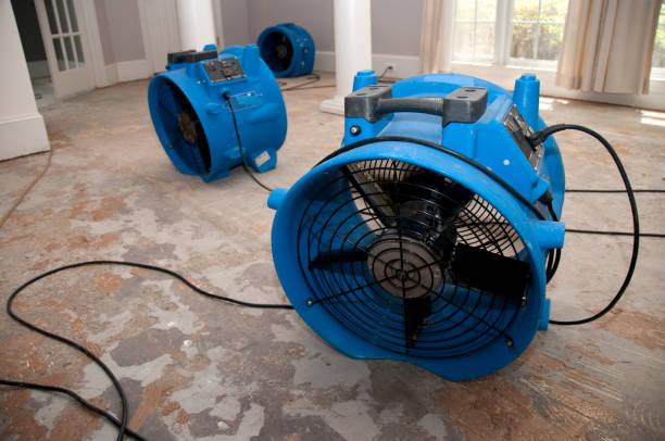  Loretto, TN Water damage restoration Pros