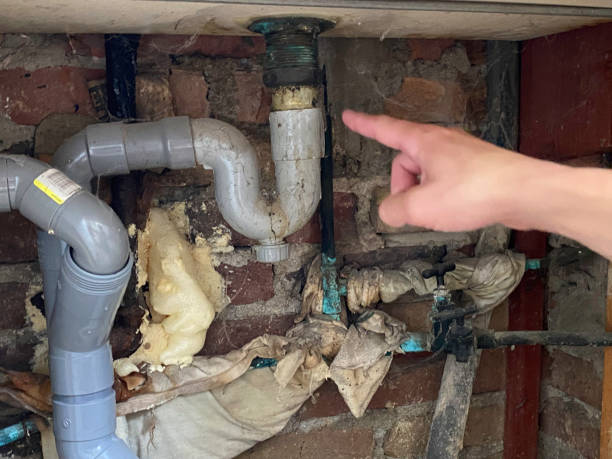 Best Water damage contractors near me  in Loretto, TN