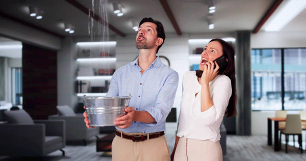 Best Emergency water damage restoration  in Loretto, TN